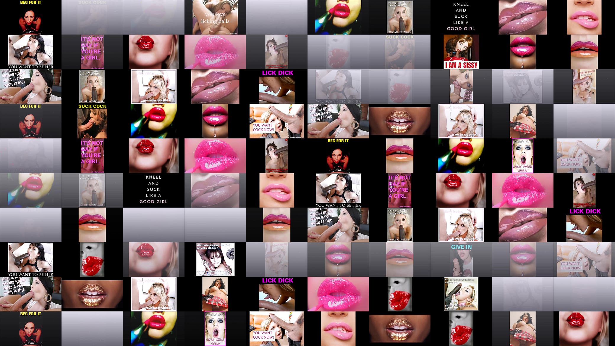 photoloop 1 预览图