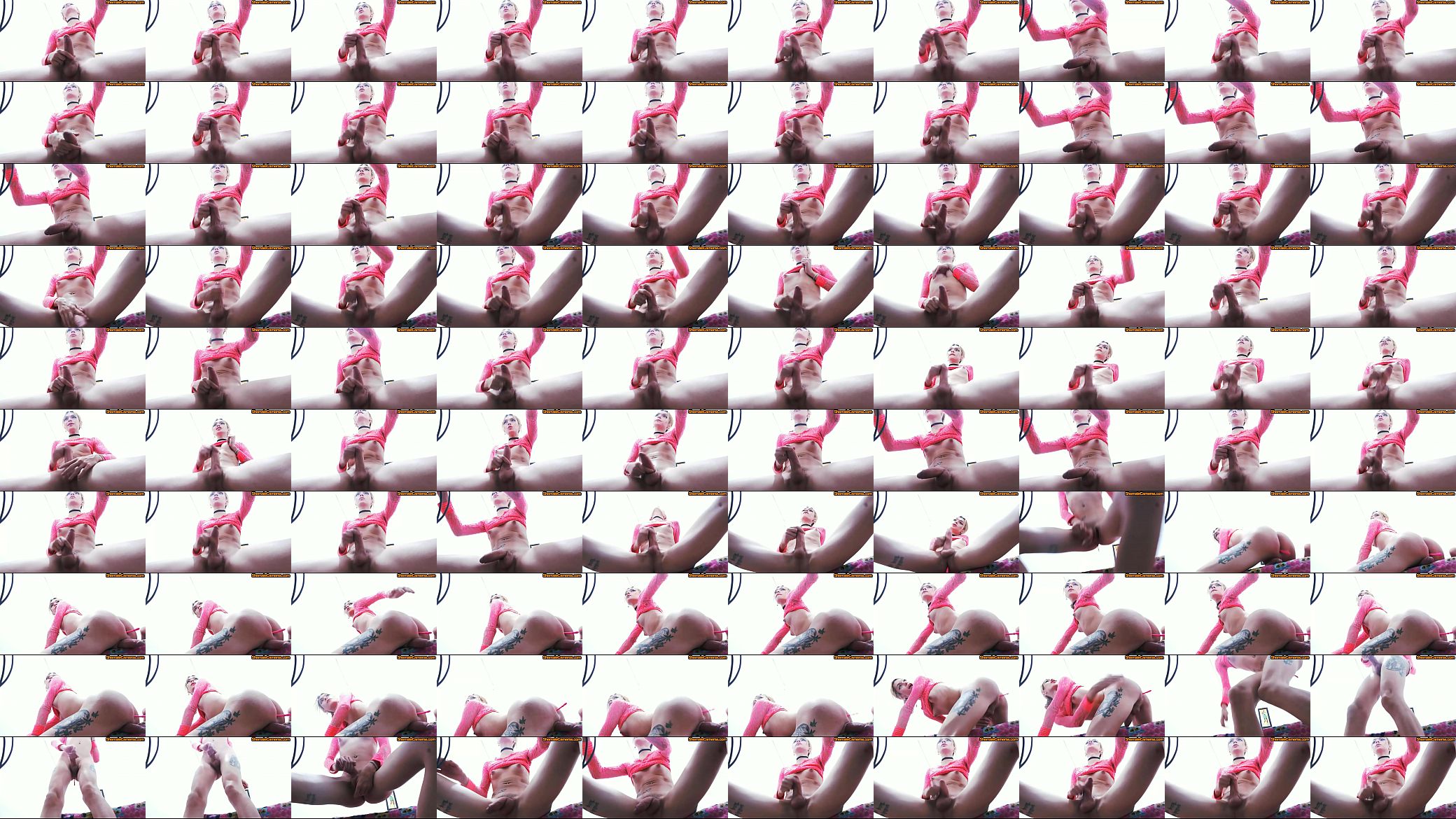 Beautiful young shemale masturbates her cock 预览图