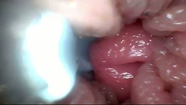 I filmed inside the vagina.