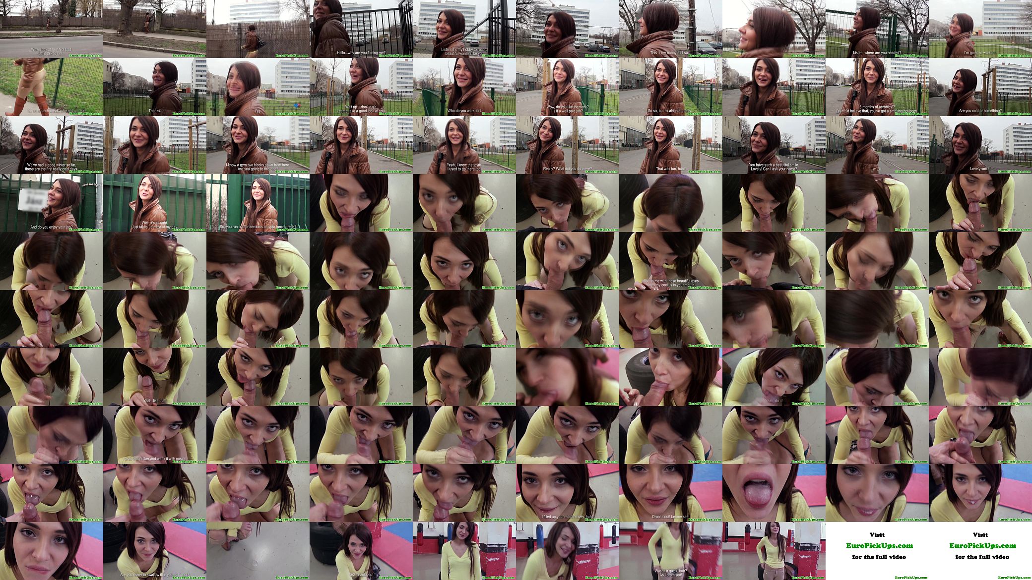 Picked up brunettes bj and cum swallow 预览图