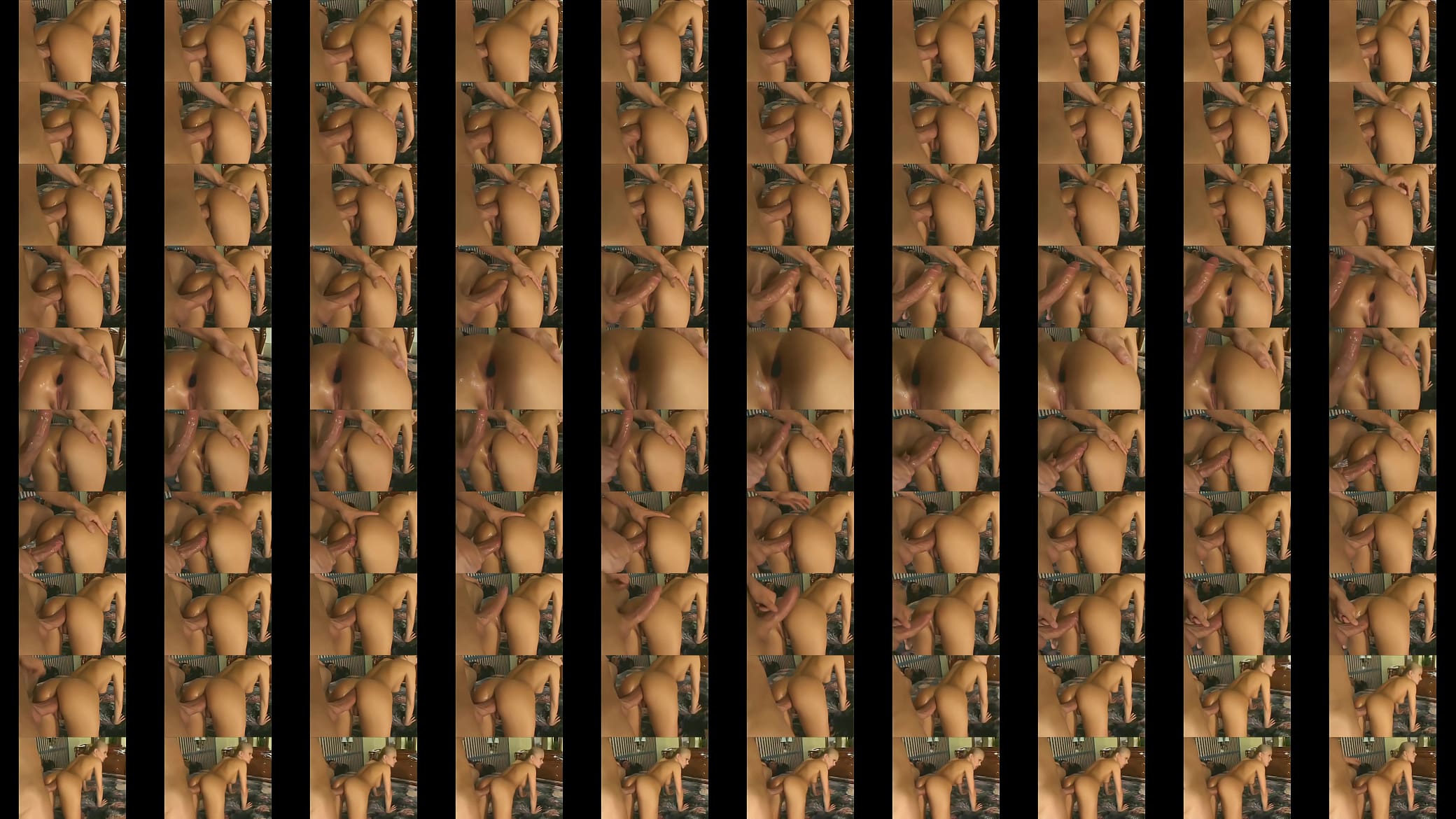anal sex 预览图