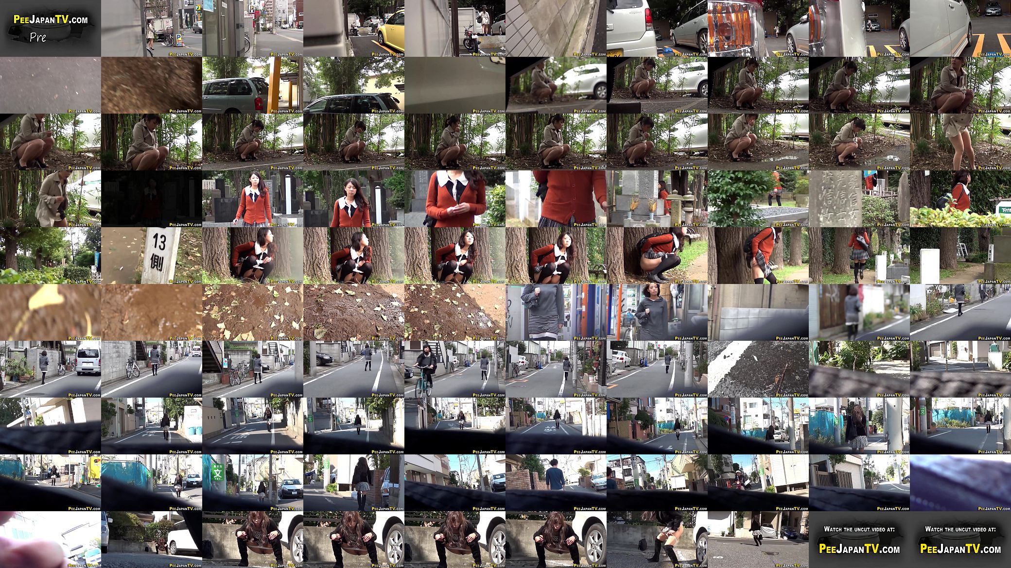 Watched asian babe pisses 预览图
