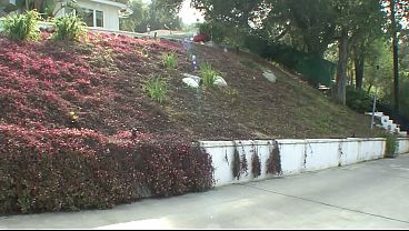 Nina Hartley Fucks A College Stud With A Huge Dick