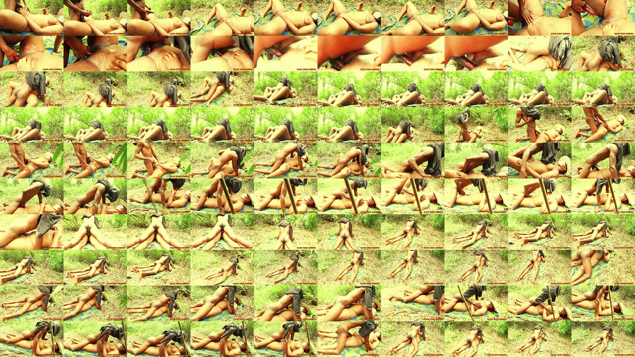 Amateur Ebony BBW With 58 inch Ass Gets Dicked Down by a forest ghost = BANG KING EMPIRE shows why skinny men do it best 预览图