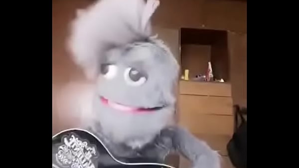 Coman pollito UwU