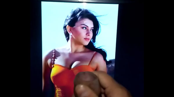 Download Video - Hansika motwani Cum tribute 08