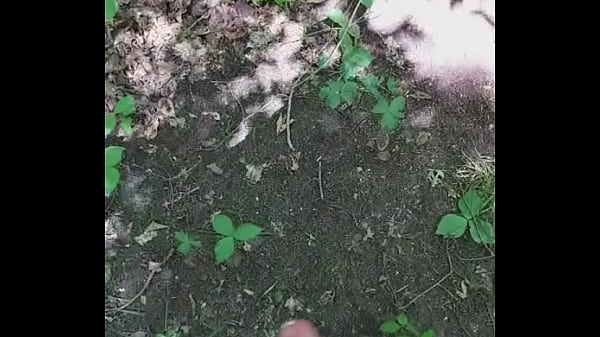 Download Video - Jerking off in the woods until I shoot big load of cum
