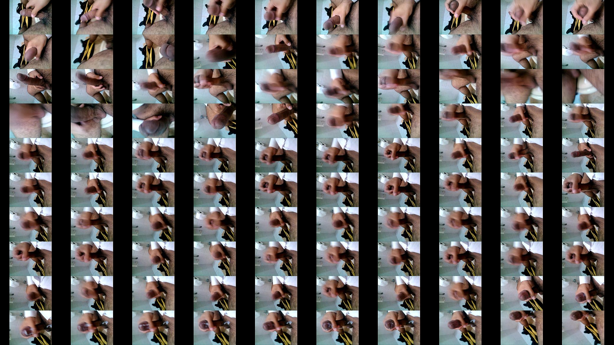VID 20130205 133932 预览图