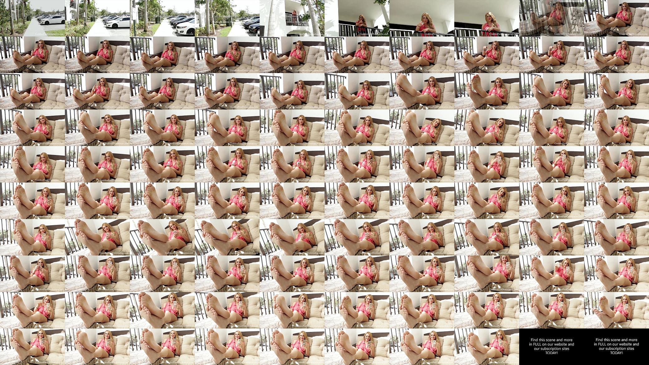 The Neighbor POV 预览图
