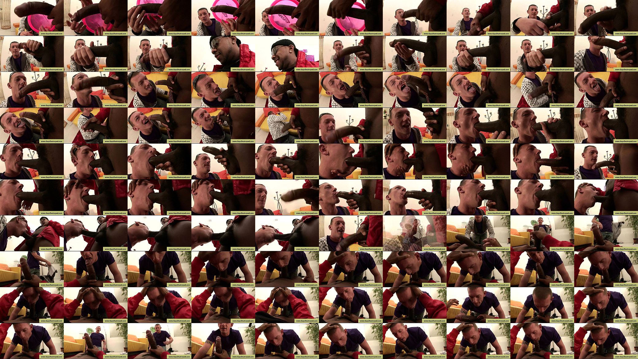 Huge black cock anal 预览图