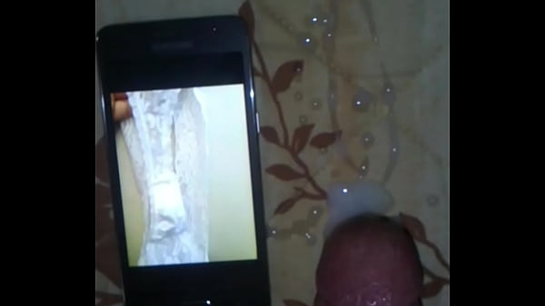 2do tributo para catpussy32