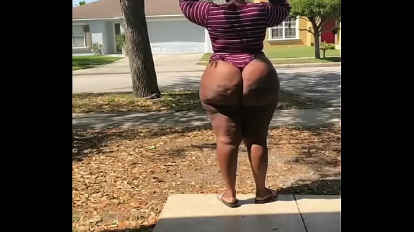 Big Booty Black BBW