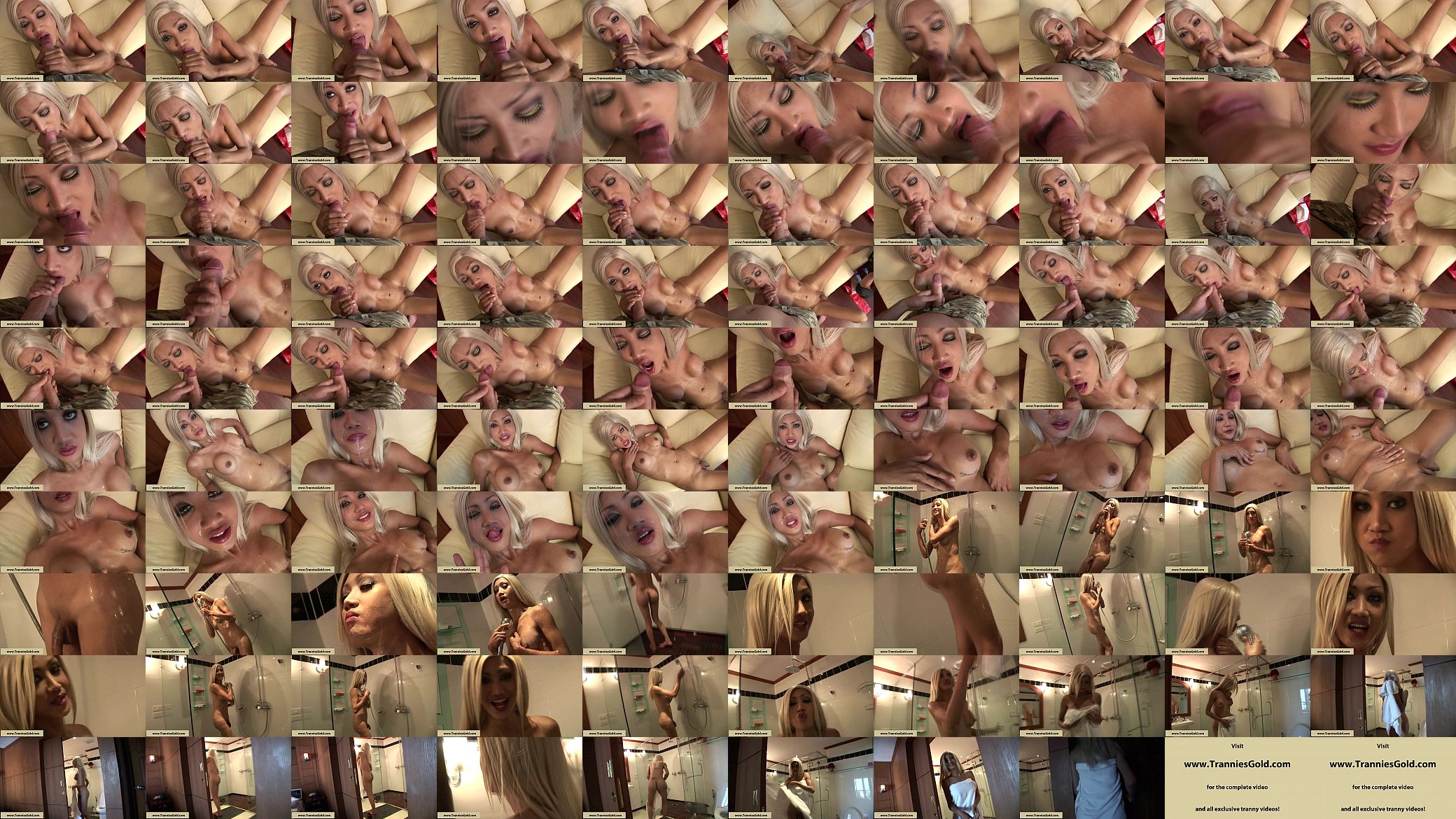 Tranniesgold Hung Blonde Blowjob 预览图