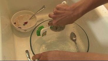 Watch as these amateurs chickens like the pros! They're lending a helping hand to...