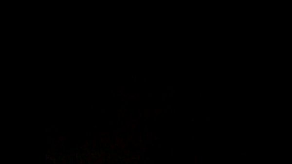 Download Video - VID 20130331 164132