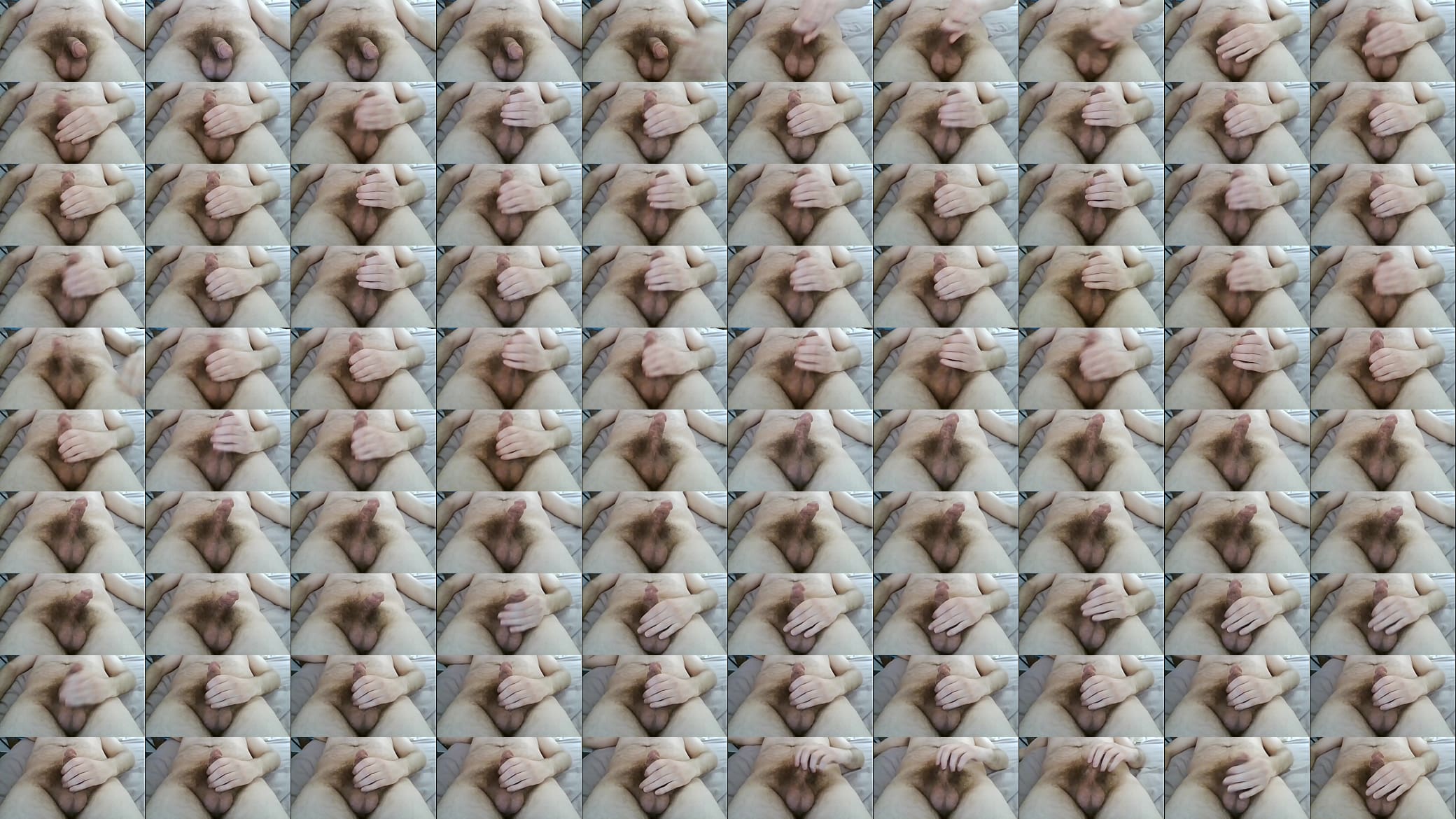 Laying Penis 8 预览图