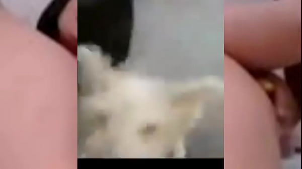 Para los señores cachondos