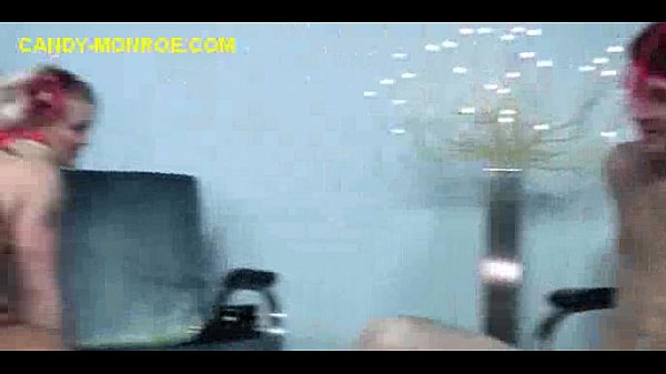 Black Stuffing On Blonde