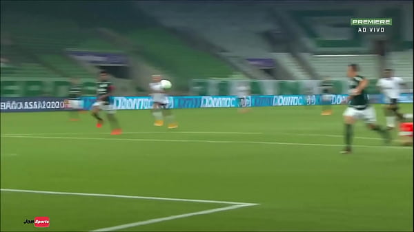 Palmeiras fudendo o Corinthians de quatro