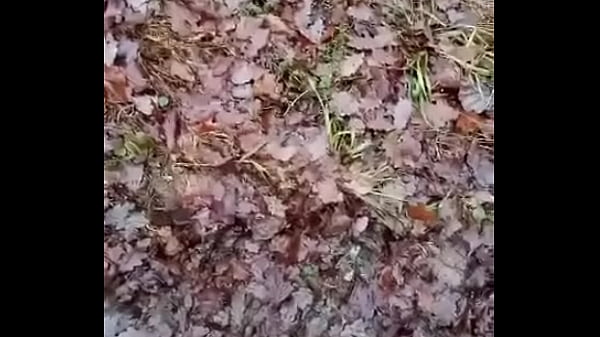 Dégoulinant De Bite Délicieuse