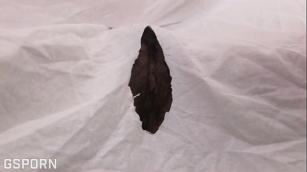 Download Video - Pussy licking japanese show game with hot milfs and teens