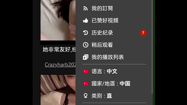 验证视频