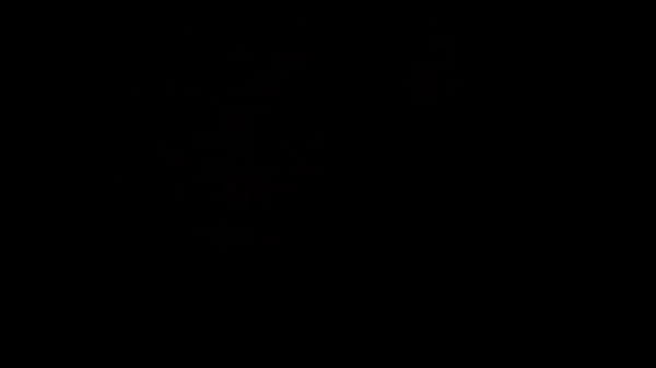 Βίντεο επαλήθευσης