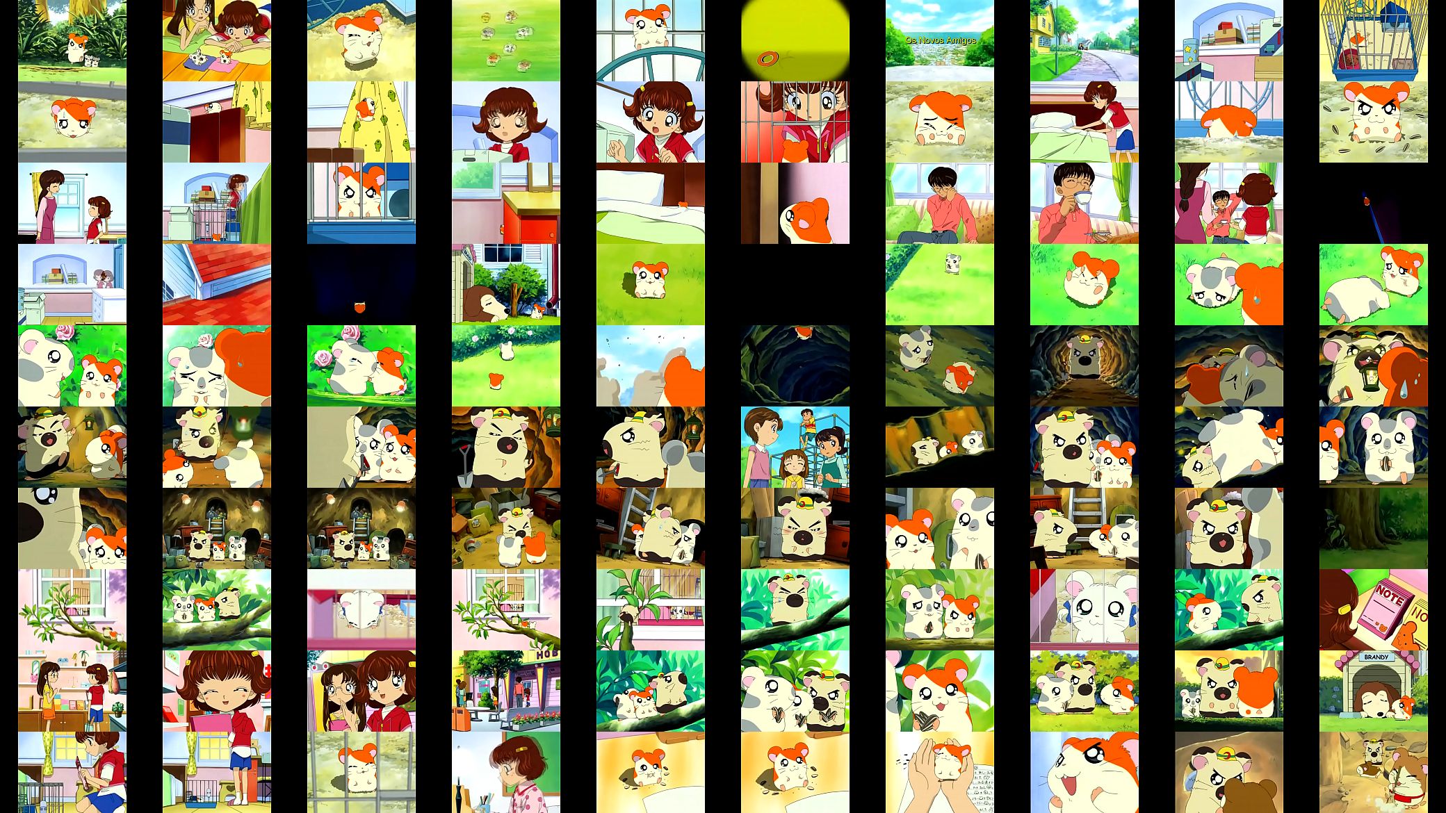 Hamtaro ep 01 DUBLADO 预览图