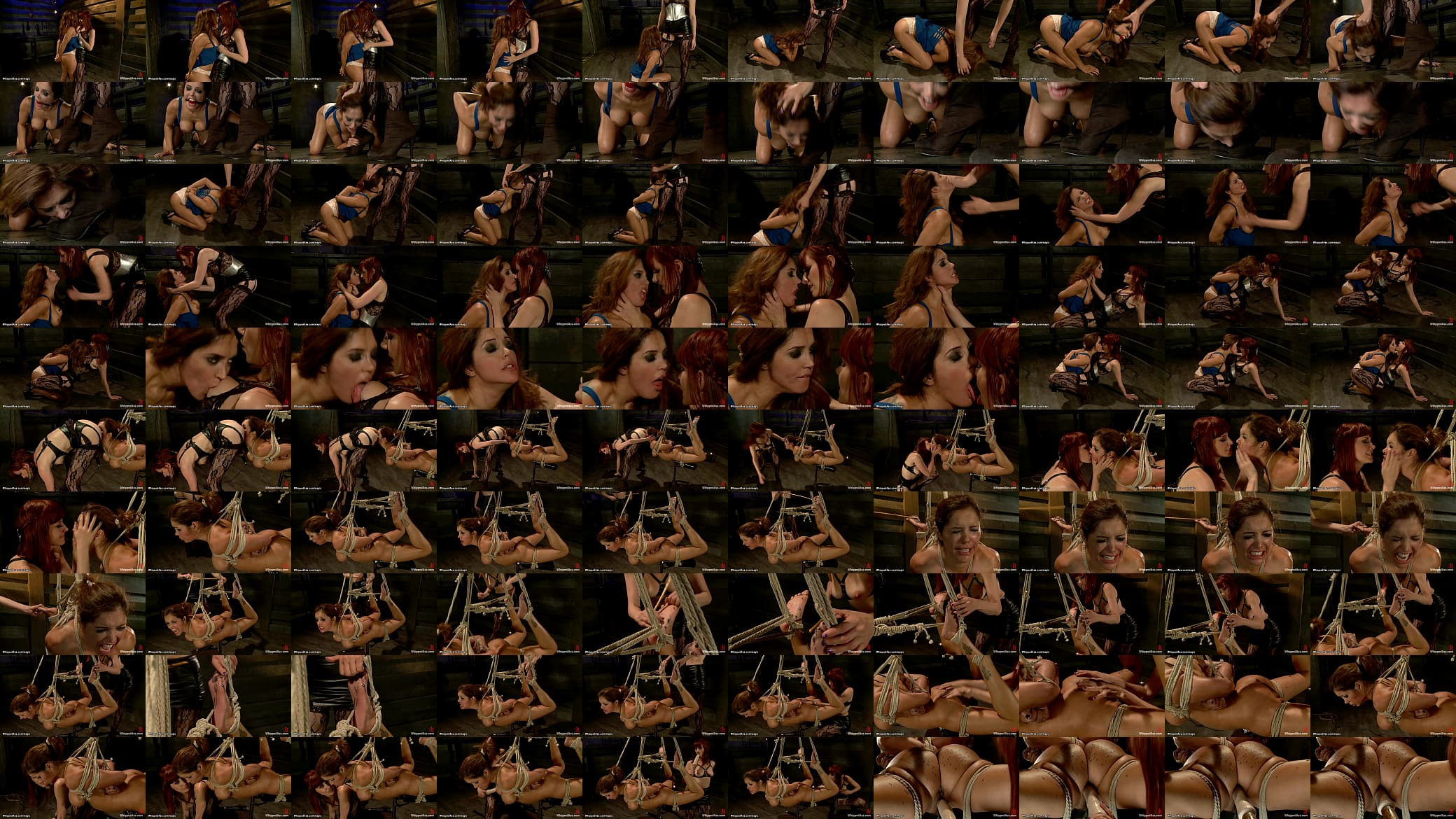 Hogtied lesbian caned and toyed 预览图