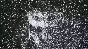 Duas esposas safadas fantaseadas de coelhas rabudas, entregaram a buceta para an&atilde;o pirocudo