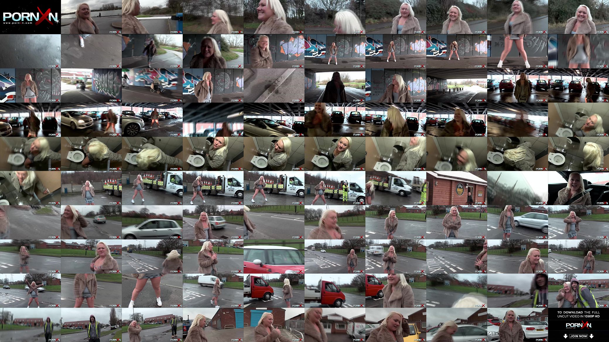 British Public Pissing 预览图