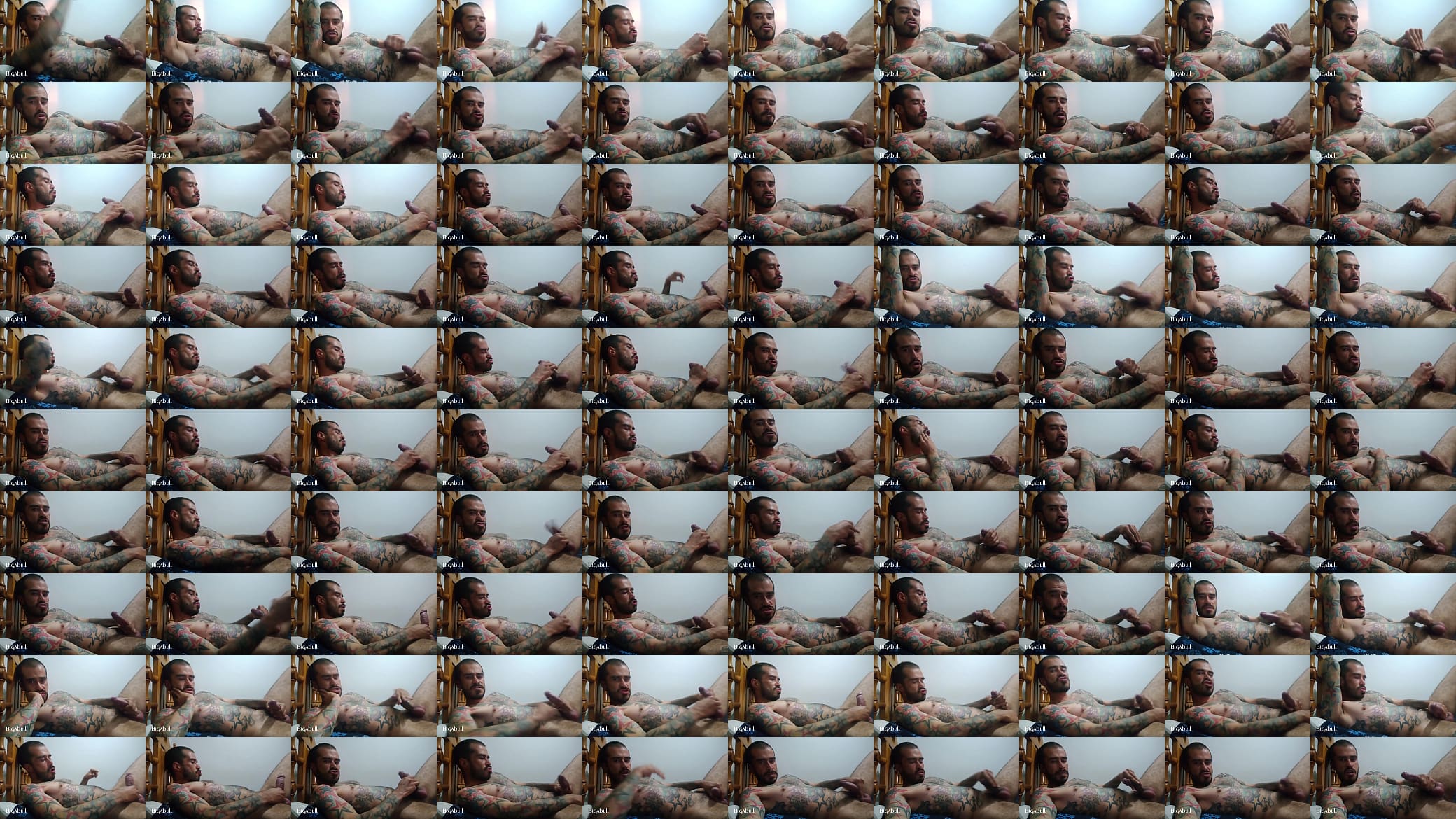 Tatuajes 预览图
