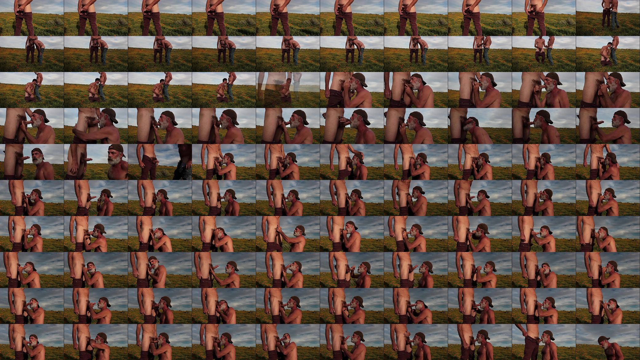 get blowjob outdoor 预览图