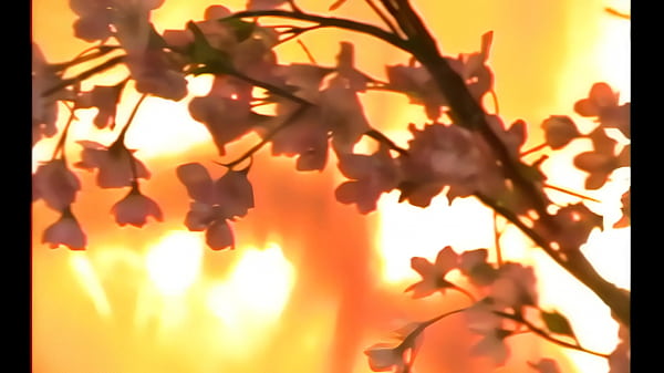 Breanne Benson Has A Beautiful Body With Oversized Nipples And A Wet Slit