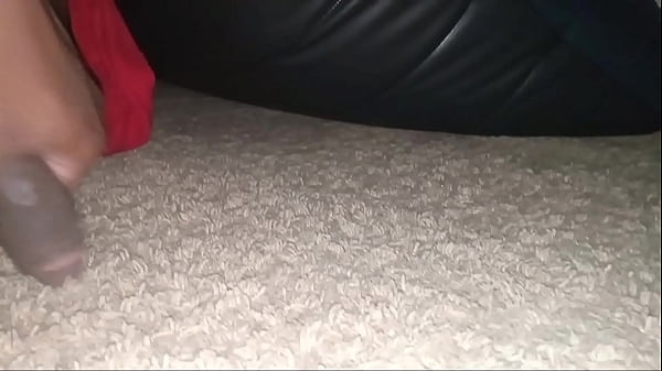 Mister small gee gee cock 6