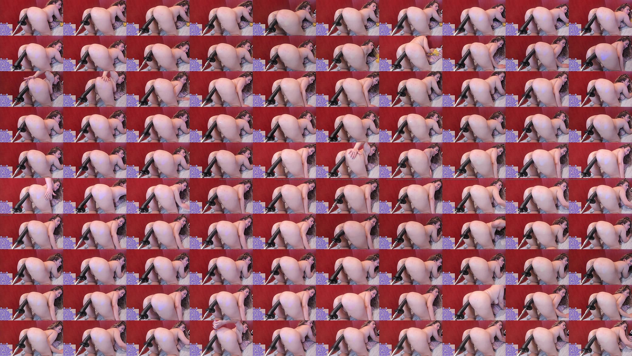I love to CUM MULTIPLES TIMES with this 12INCH BBC in my VAGINA!!! 预览图