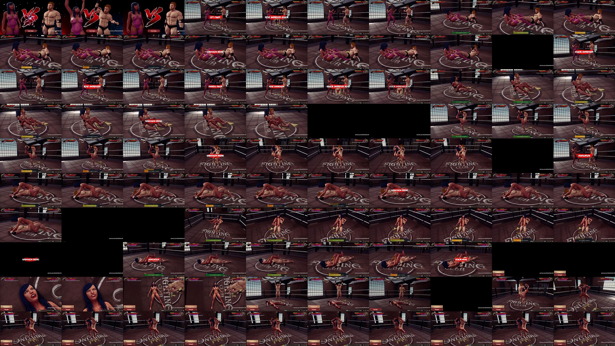 Rose VS Vilkor (Naked Fighter 3D) 预览图