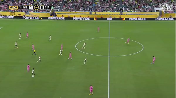 SUAREZ PIROCUDO AMASSANDO PALMEIRAS DE QUATRO