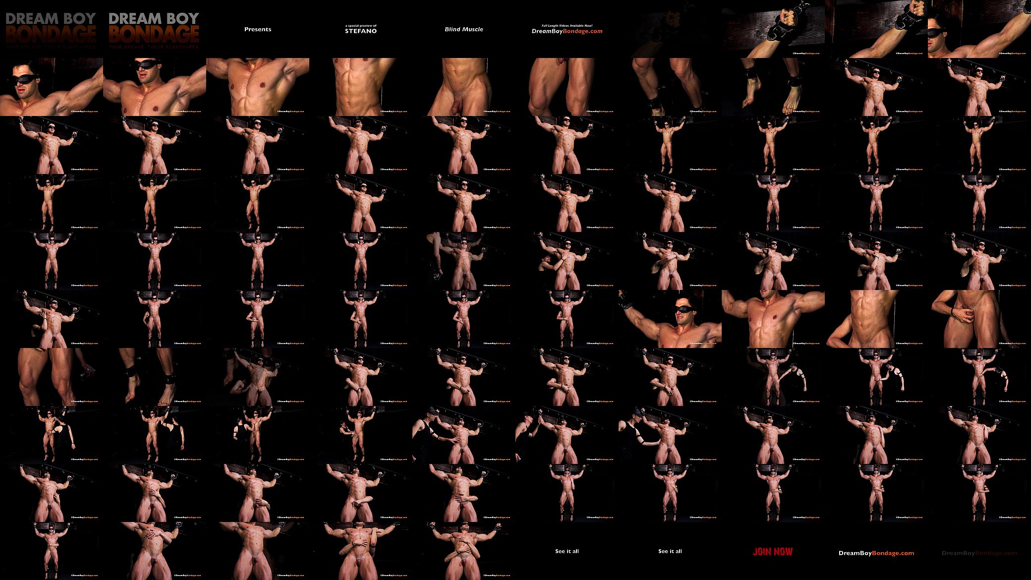 HOT MUSCLE STUD CRUCIFIED FOR HOURS IN BDSM DUNGEON - DreamBoyBondage.com 预览图