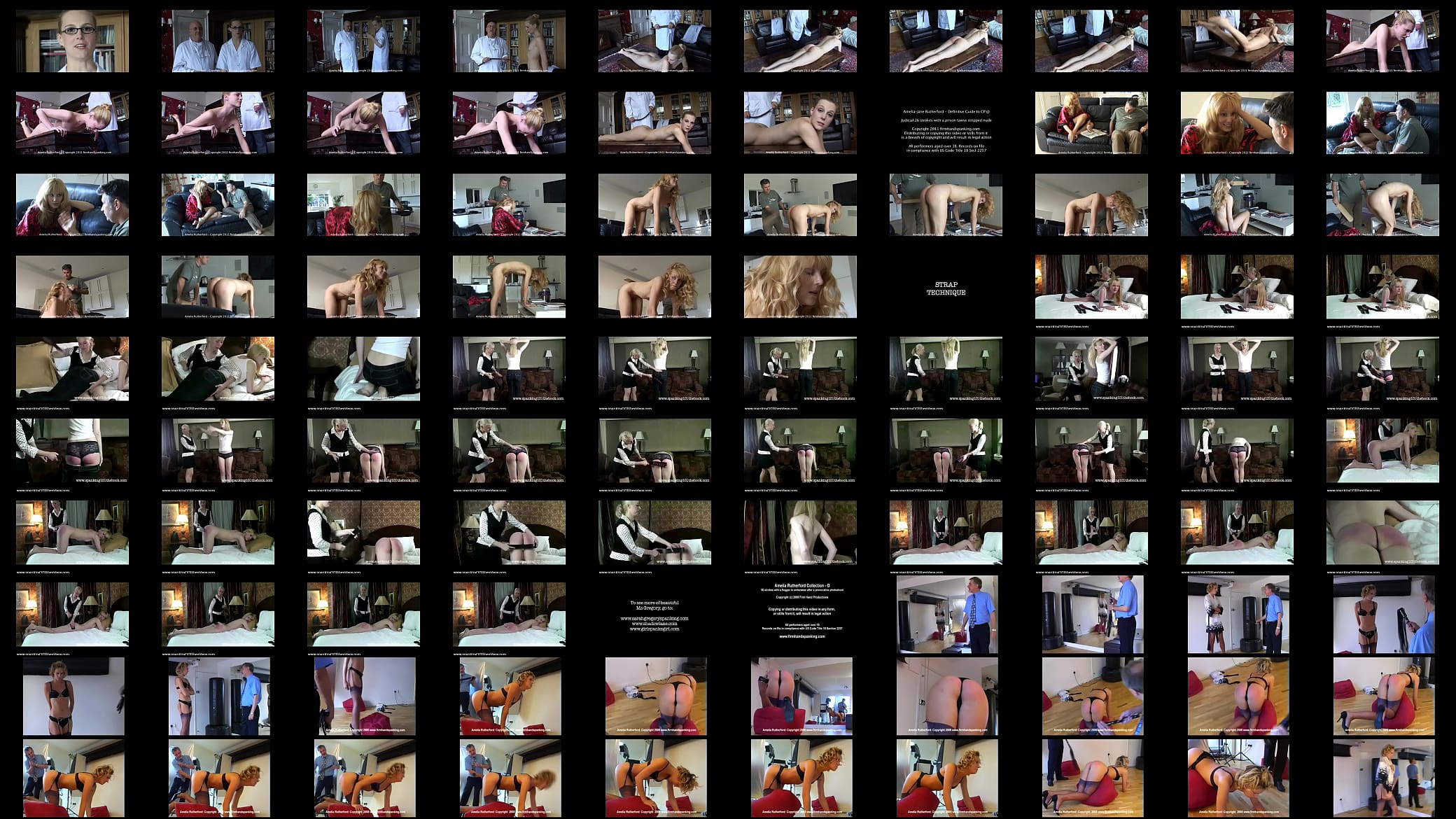 Ariel Anderssen Spanked, Canned &amp; Whipped Compilation 预览图