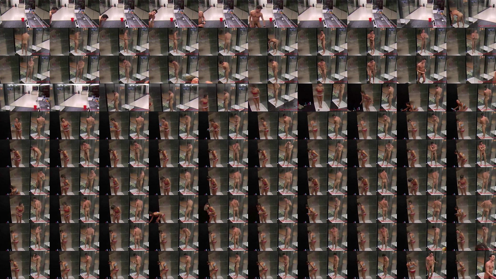 Big Brother On Cam 预览图