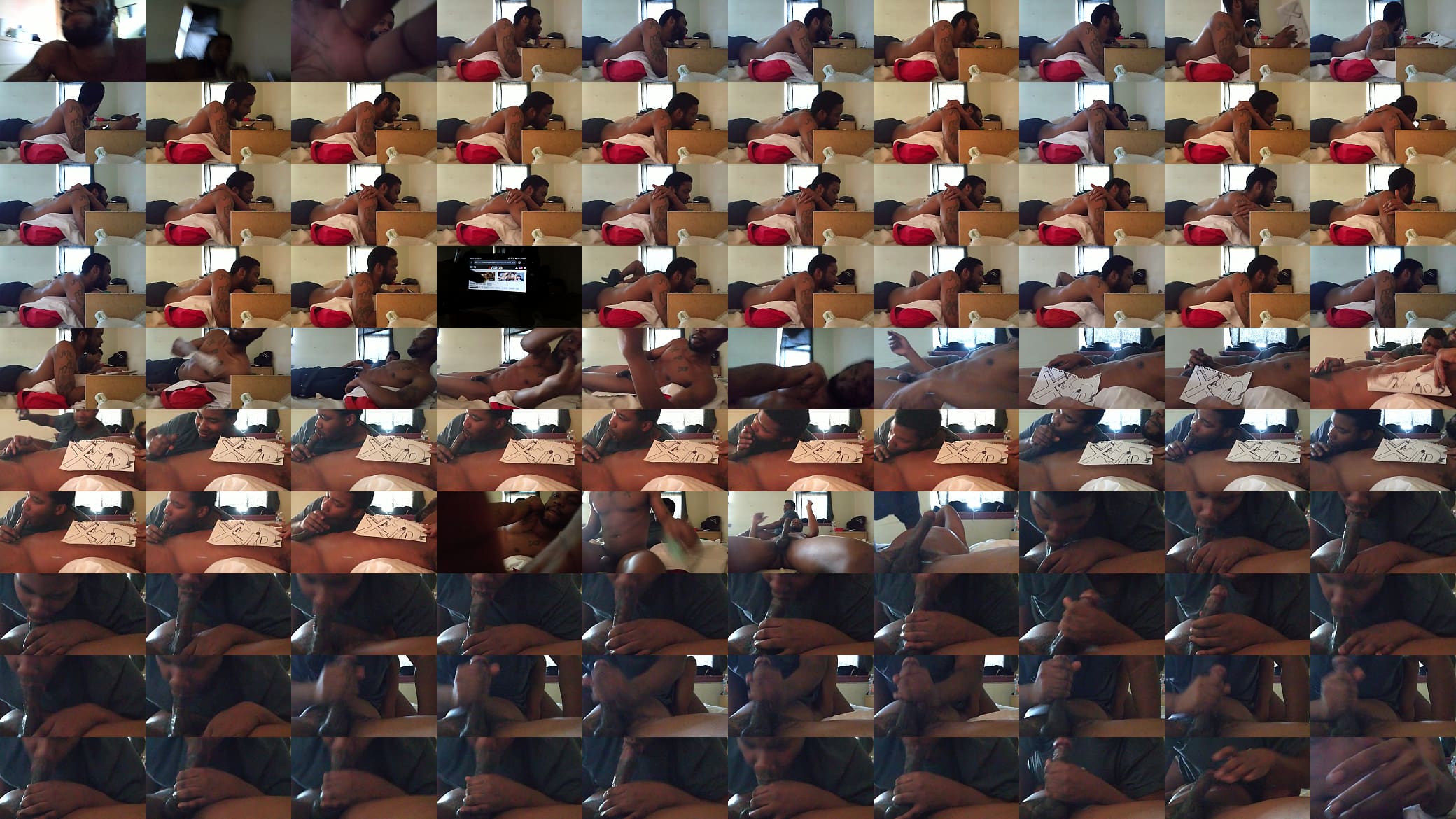 Verification video 预览图