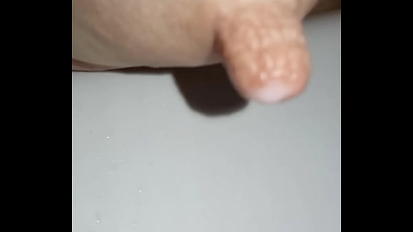 Latteria della troia