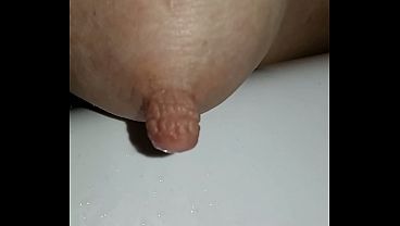 Latteria della troia