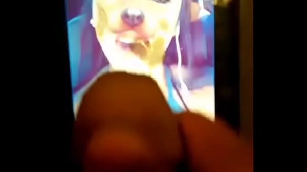 33fd14dc-9b06-4f29-86b5-6ccd8c4c7194