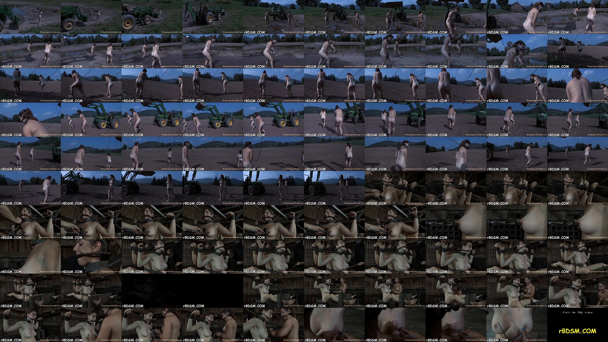 Castigation porn 预览图