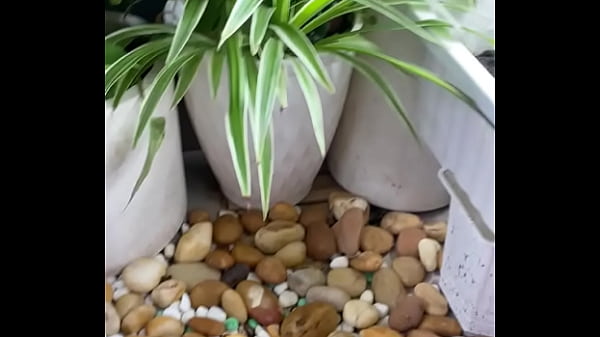 Video x&aacute;c minh