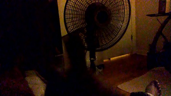 Download Video - I just had to catch one