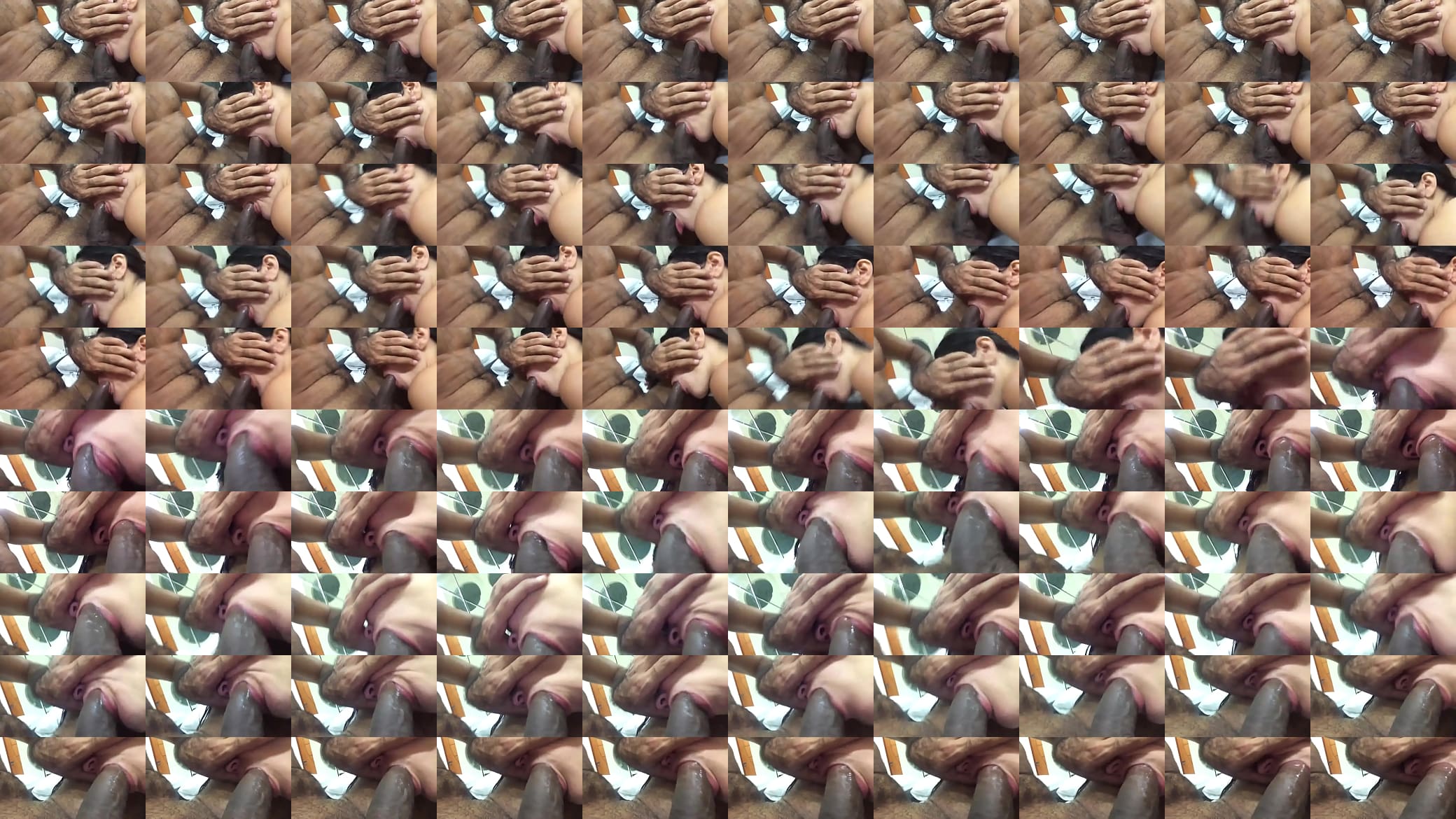 Amador 预览图