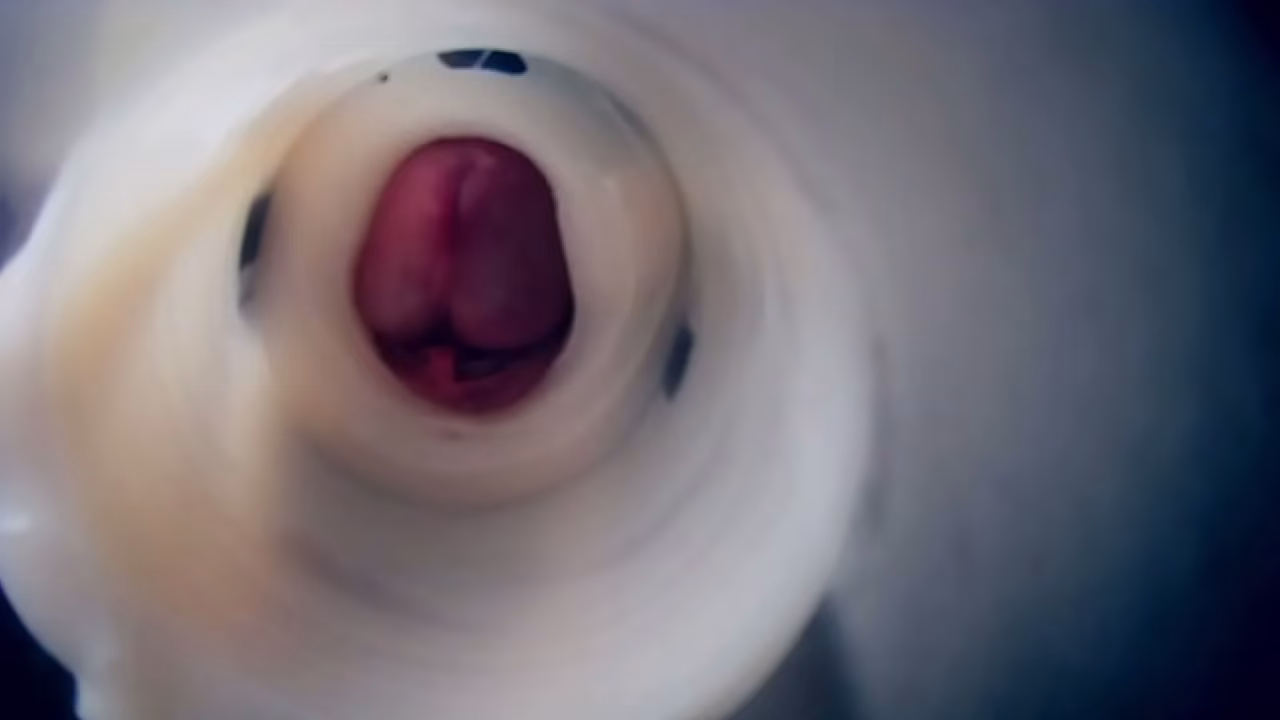 ma bite PULSE &agrave_ l'_int&eacute_rieur vue endoscopique - 3 cum - triple cum crampie